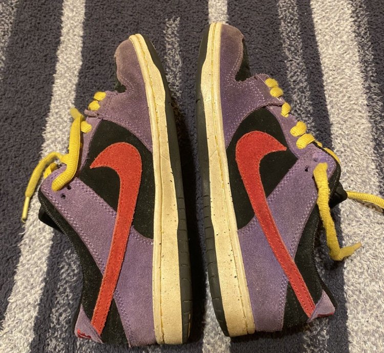Nike Sb Dunk Low Acg Terra