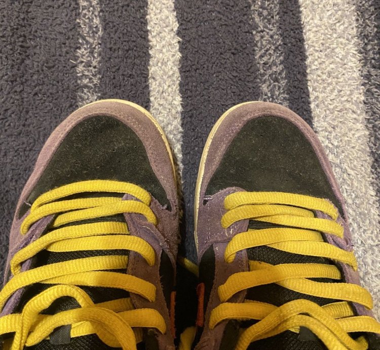 Nike Sb Dunk Low Acg Terra