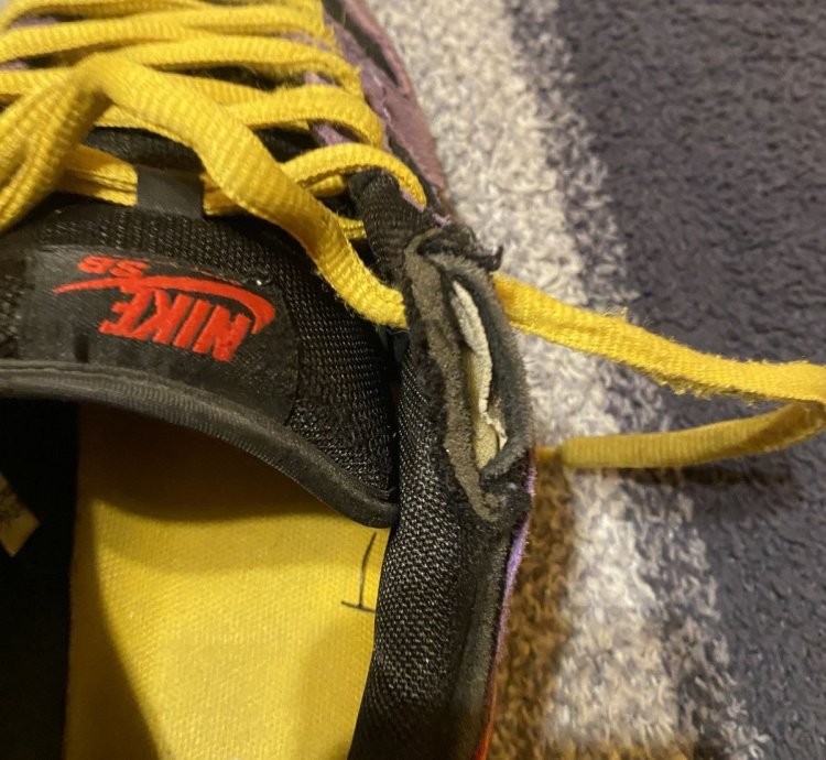 Nike Sb Dunk Low Acg Terra
