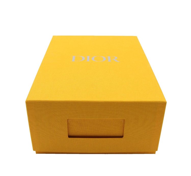 Dior World Tour B27 Low-top Sneaker