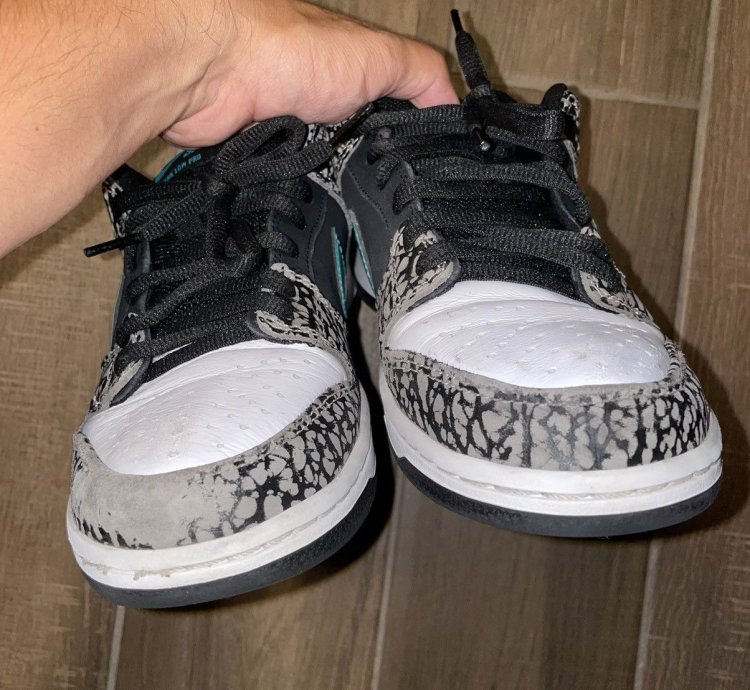 Nike Sb Dunk Low Atmos Elephant Skate Shoe