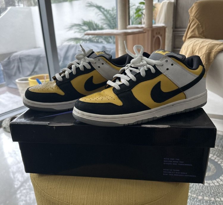 Nike Sb Dunk Low Bic
