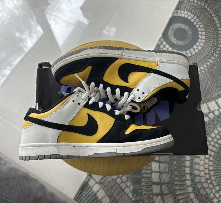 Nike Sb Dunk Low Bic