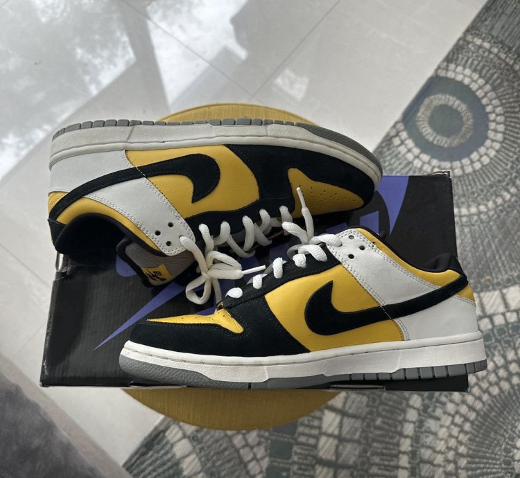 Nike Sb Dunk Low Bic