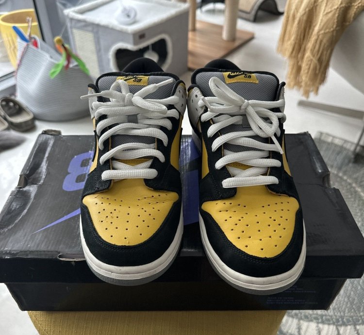 Nike Sb Dunk Low Bic