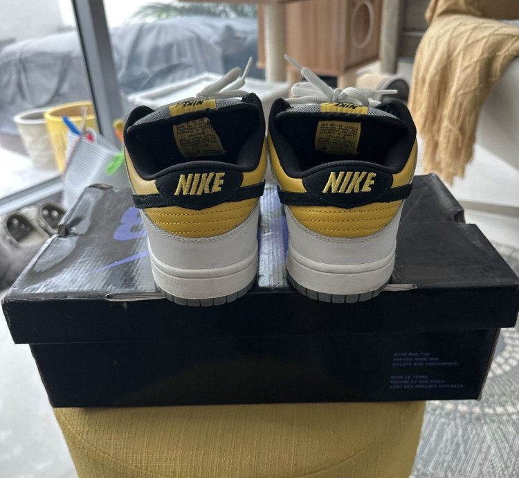 Nike Sb Dunk Low Bic