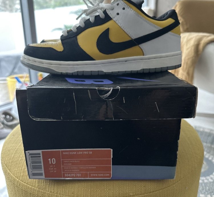 Nike Sb Dunk Low Bic