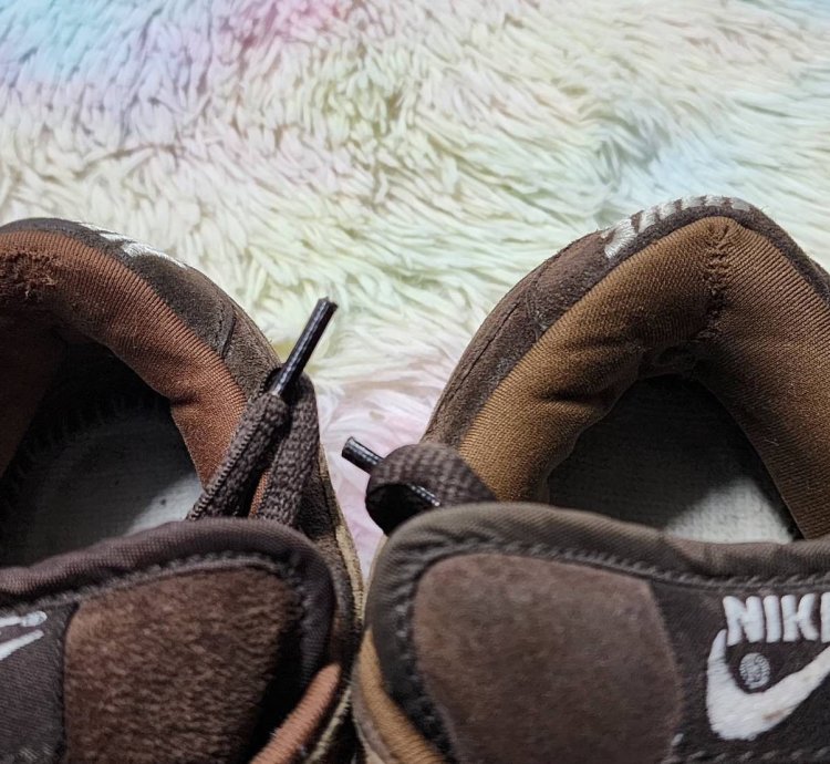 Nike Sb Dunk Low Bison