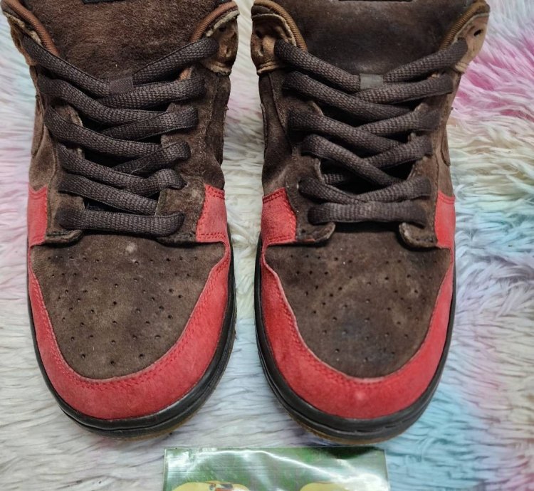 Nike Sb Dunk Low Bison