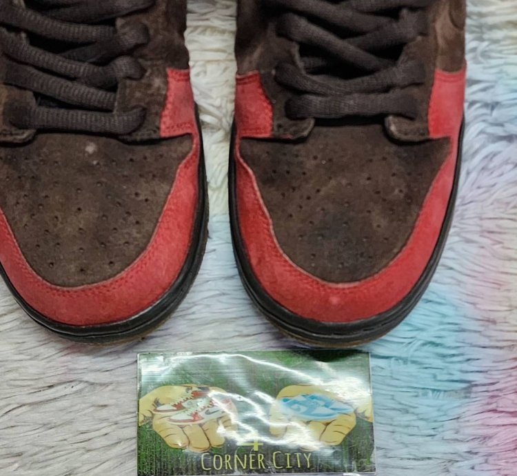 Nike Sb Dunk Low Bison