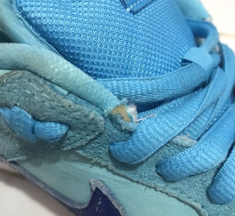 Nike Sb Dunk Low Blue Fury