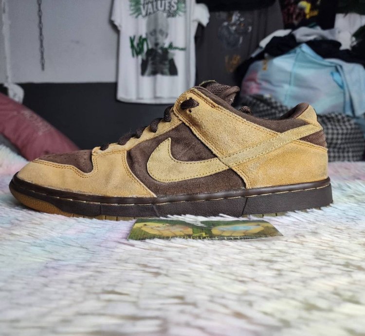 Nike Sb Dunk Low Brown Pack