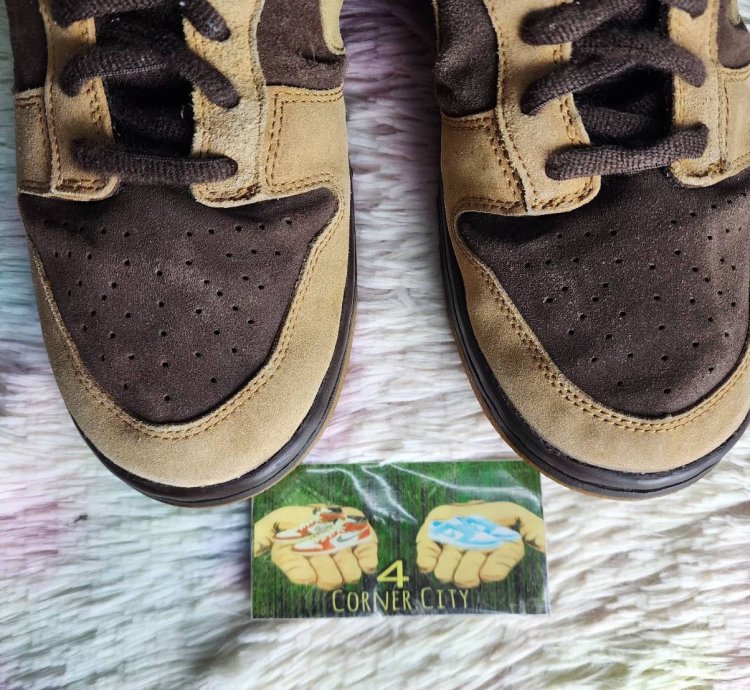 Nike Sb Dunk Low Brown Pack