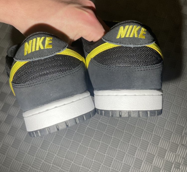 Nike Sb Dunk Low Butthead