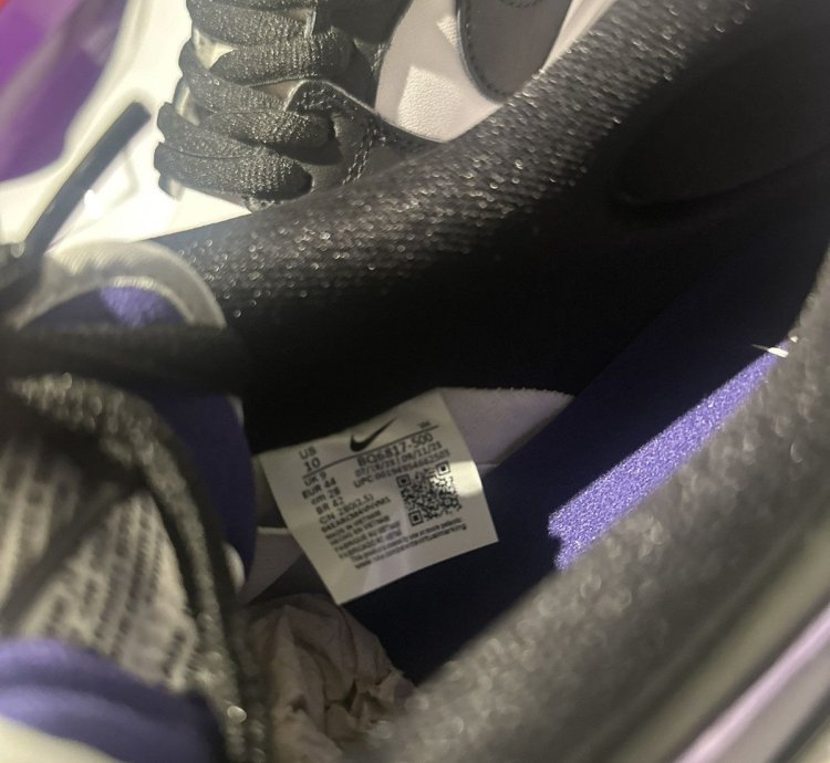 Nike Sb Dunk Low Court Purple
