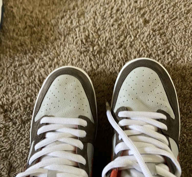 Nike Sb Dunk Low Dc Crushed Size 11