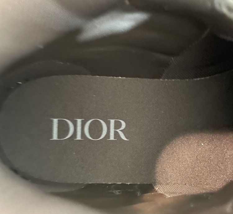 Hiking Boots Brown Blue Dior