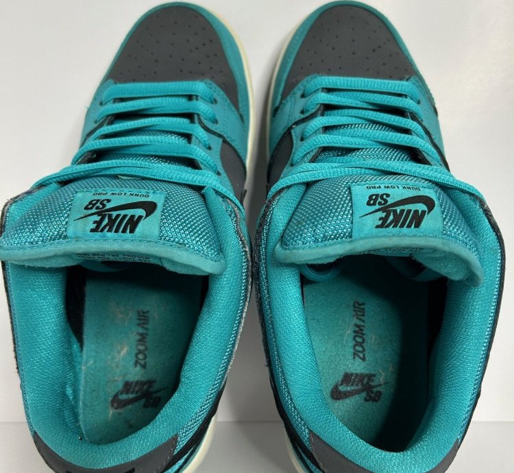 Nike Sb Dunk Low Dusty Cactus