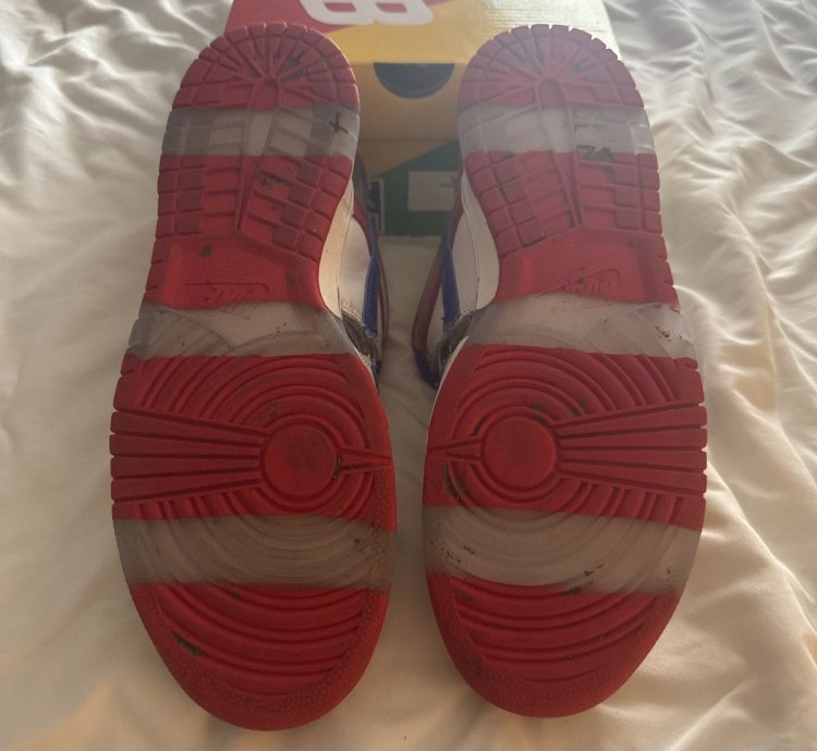 Nike Sb Dunk Low Ebay