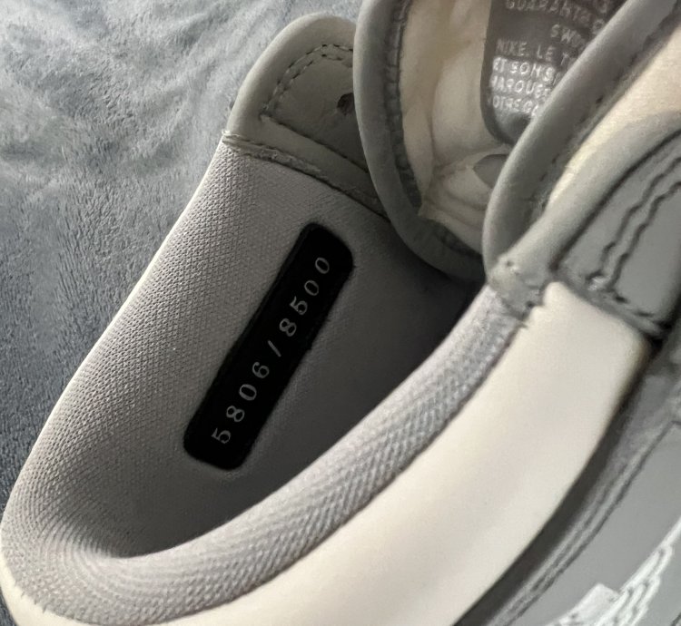 Jordan 1 Retro High Dior