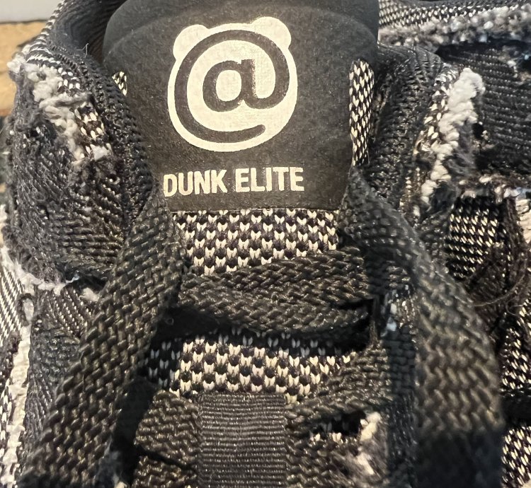 Nike Sb Dunk Low Elite Medicom Bearbrick