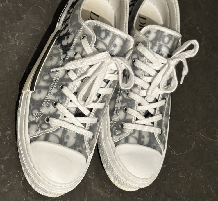 Men Dior Lows