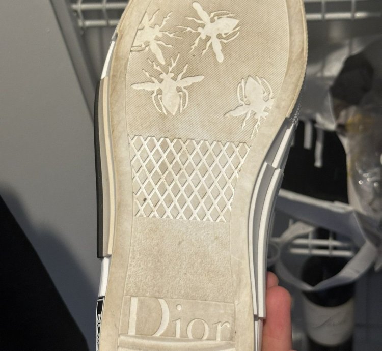 Men Dior Lows