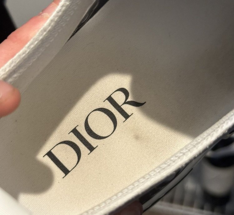 Men Dior Lows