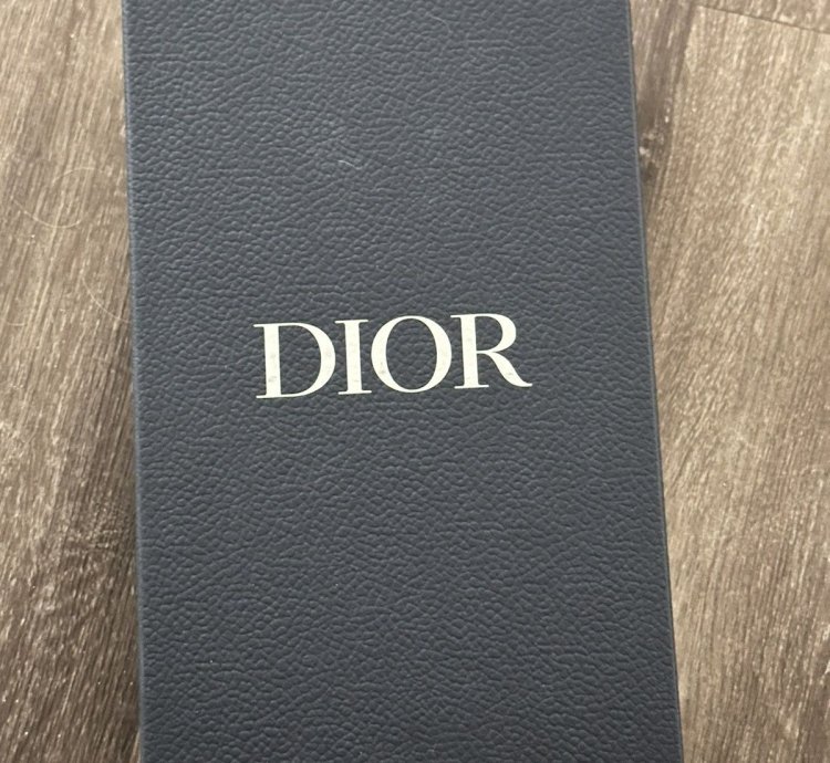 Men Dior Lows