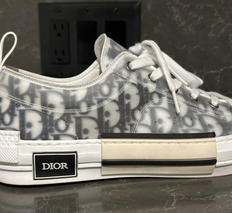 Men Dior Lows