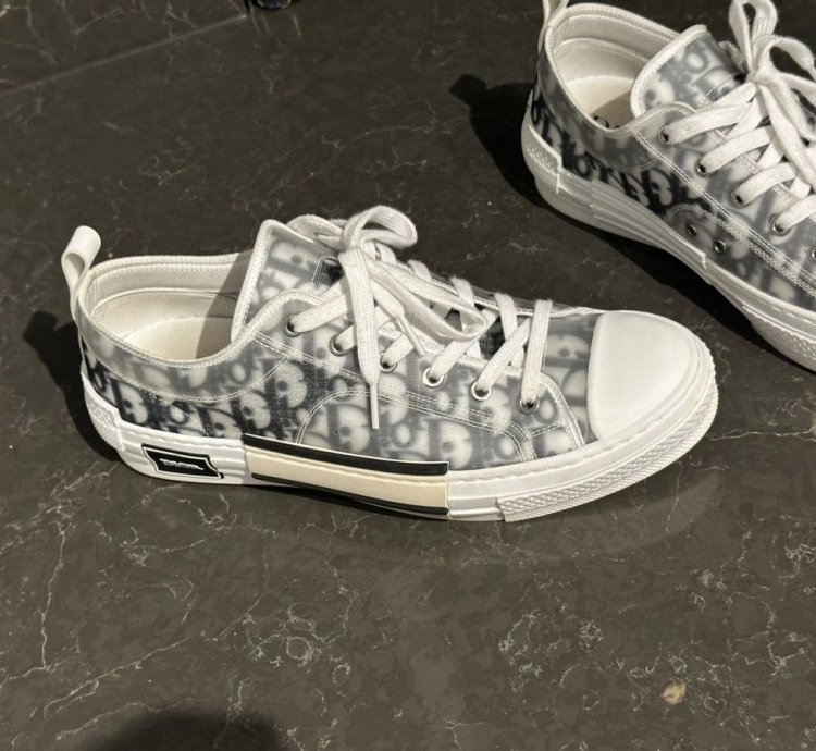 Men Dior Lows