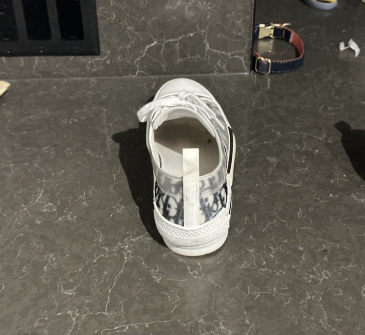Men Dior Lows