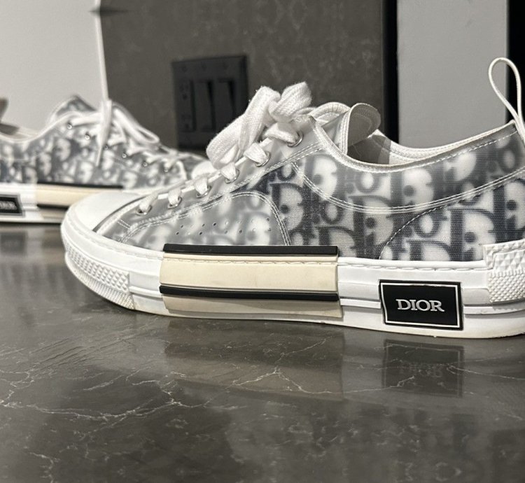 Men Dior Lows