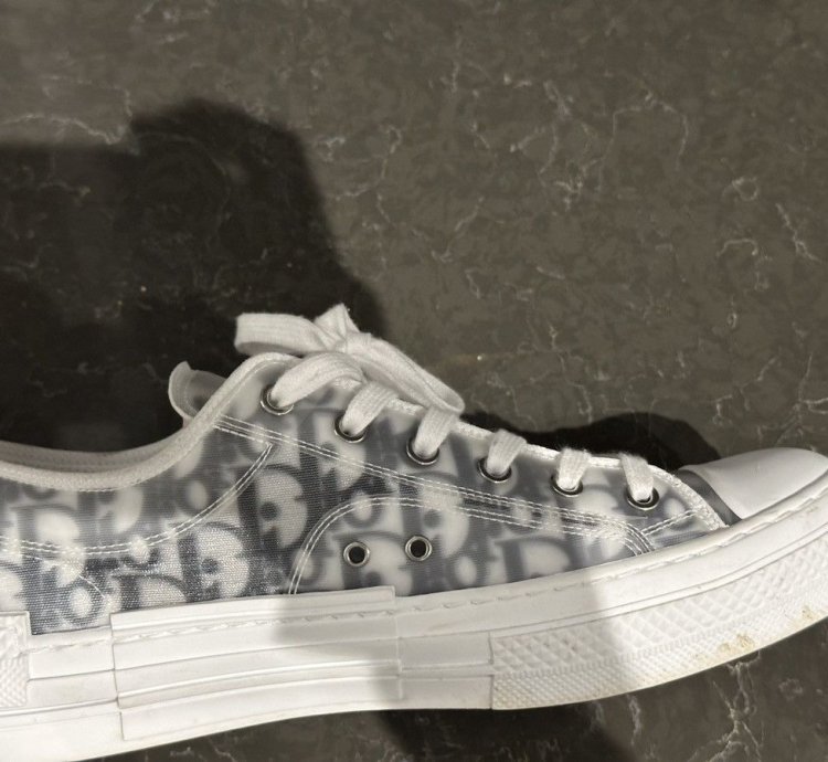 Men Dior Lows