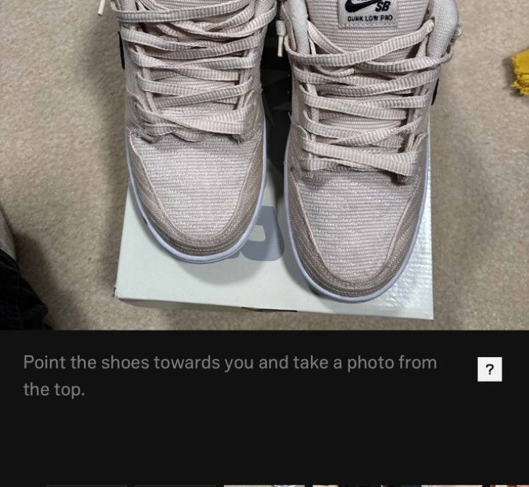 Nike Sb Dunk Low Jiu Jitsu Used Size 10