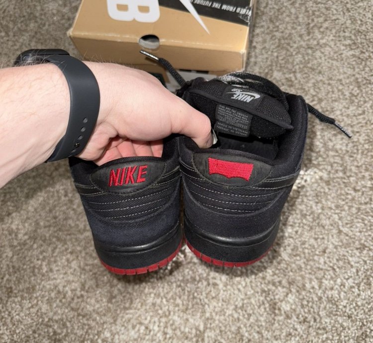 Nike Sb Dunk Low Levi 2012