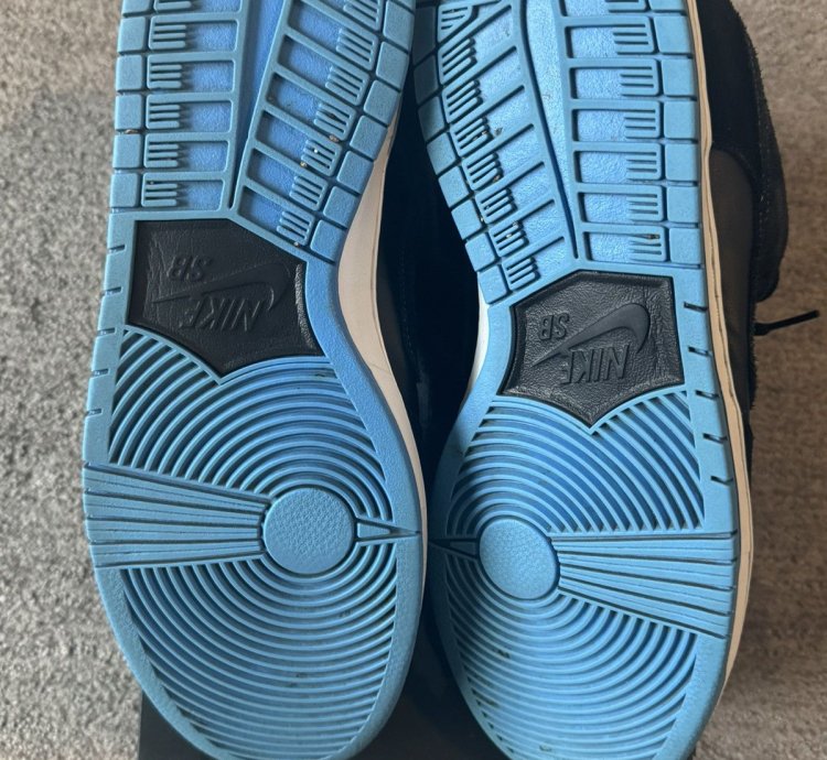 Nike Sb Dunk Low Powder Blue