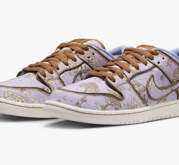 Nike Sb Dunk Low Premium City Of Style - Fn5880 001