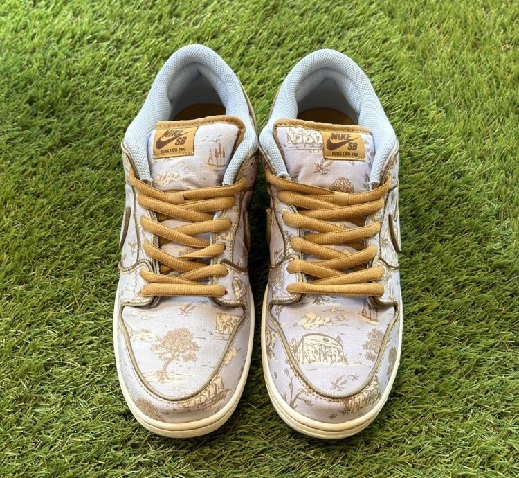 Nike Sb Dunk Low Premium City Of Style - Fn5880 001
