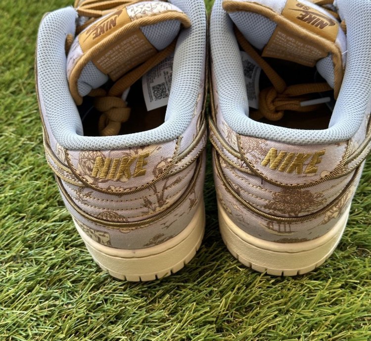 Nike Sb Dunk Low Premium City Of Style - Fn5880 001