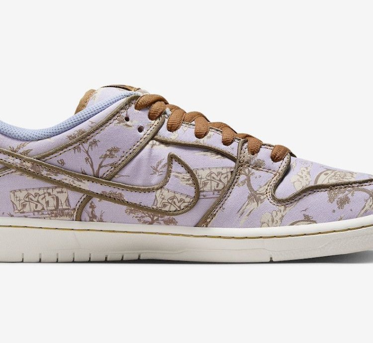 Nike Sb Dunk Low Premium City Of Style - Fn5880 001