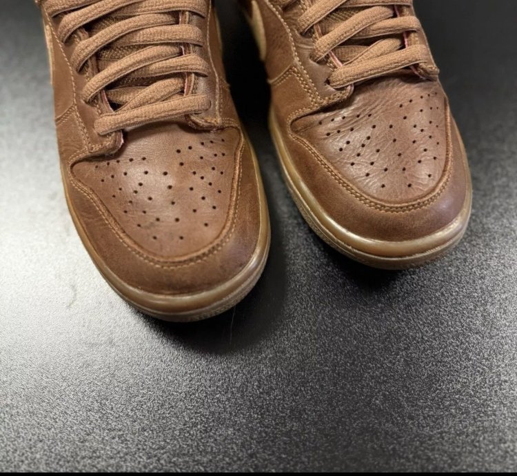 Nike Sb Dunk Low Premium Gibson Guitar Case 313170-271 Sz 8