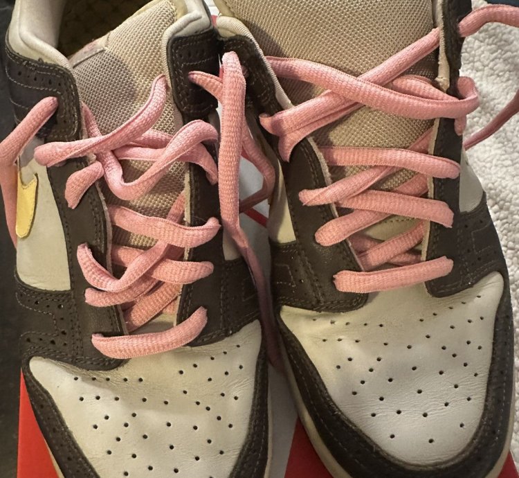 Nike Sb Dunk Low Premium Golf