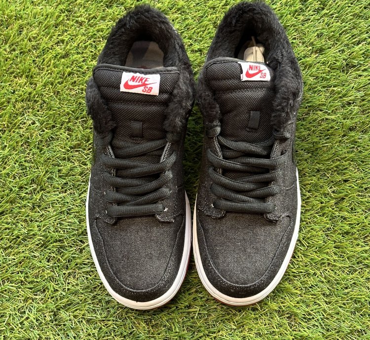 Nike Sb Dunk Low Premium Larry Perkins no Chirp 313171 009
