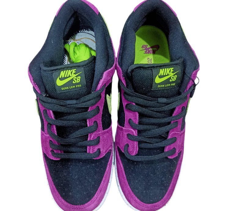 Nike Sb Dunk Low Pro Acg Terra Red Plum Sneakers