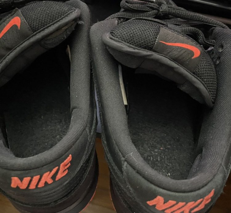 Nike Sb Dunk Low Pro Black Pigeon