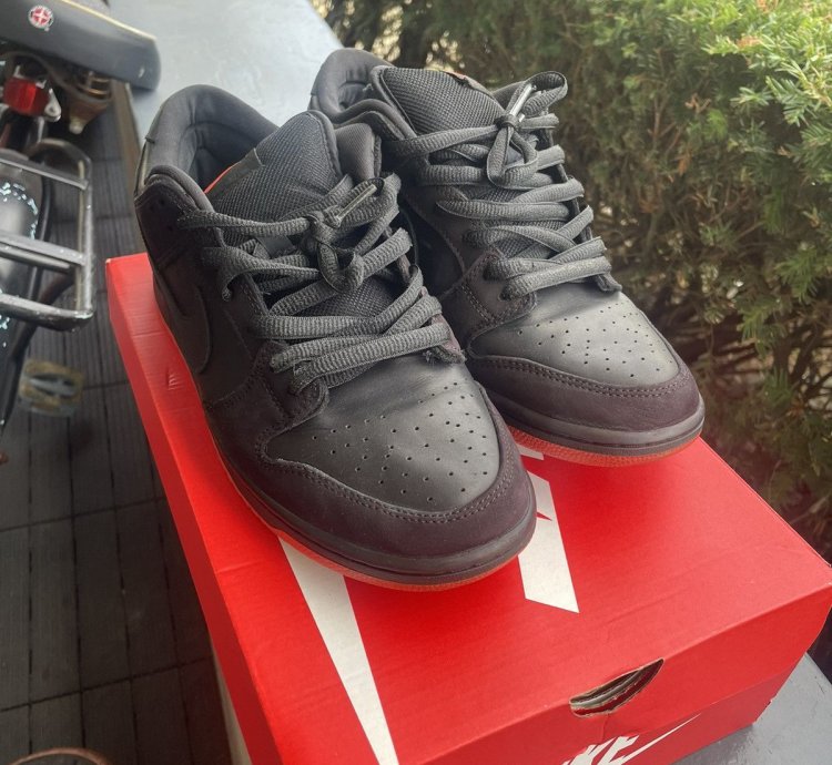 Nike Sb Dunk Low Pro Black Pigeon