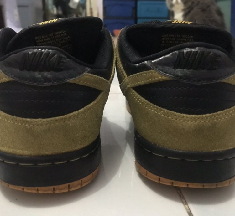 Nike Sb Dunk Low Pro Iowa