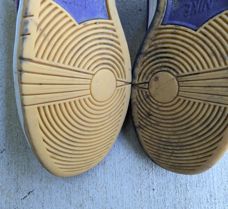 Nike Sb Dunk Low Pro Iso Orange Label Court Purple