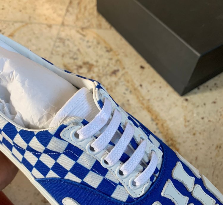 Skeleton Checker Low Top Sneakers In Blue White